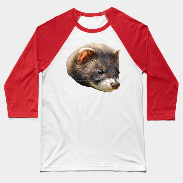 Polecat Portrait Baseball T-Shirt by dalyndigaital2@gmail.com